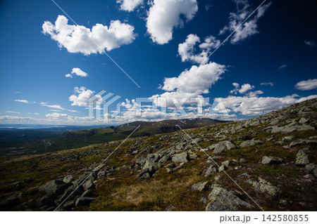 Wide summer landscape from the Khibiny Mountains in Murmansk Region, Russia, showing a rocky mountain slope covered with lichen and low subarctic vegetation above the forested lowlands of the Kola Pen Wide summer landscape from the Khibiny Mountains in Murmansk Region, Russia, showing a rocky mountain slope covered with lichen and low subarctic vegetation above the forested lowlands of the Kola Pen 142580855