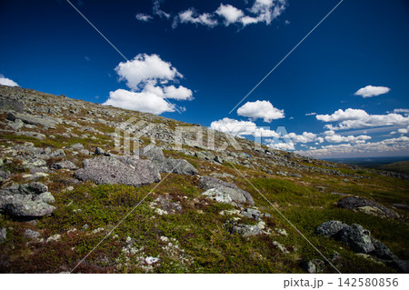 Wide summer landscape from the Khibiny Mountains in Murmansk Region, Russia, showing a rocky mountain slope covered with lichen and low subarctic vegetation above the forested lowlands of the Kola Pen 142580856