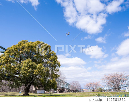 【淀川河川公園】長閑な河川敷の公園と飛行機 142581252
