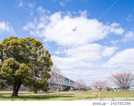 【淀川河川公園】長閑な河川敷の公園と飛行機 142581256