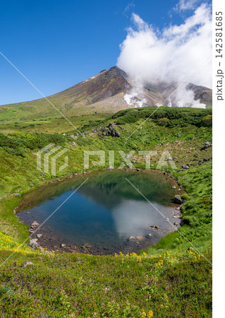 旭岳 姿見の池周辺の夏の風景 旭岳 姿見の池周辺の夏の風景 142581685