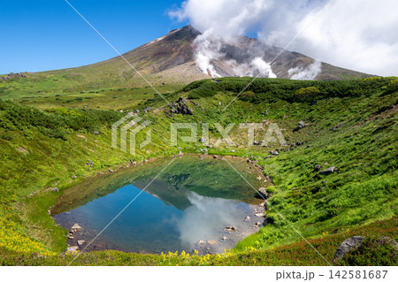 旭岳 姿見の池周辺の夏の風景 旭岳 姿見の池周辺の夏の風景 142581687