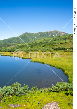 旭岳 姿見の池周辺の夏の風景 旭岳 姿見の池周辺の夏の風景 142581692