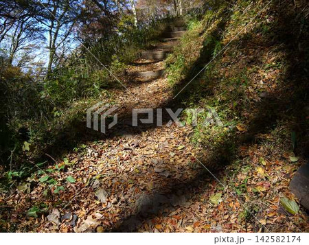 落ち葉の山道 落ち葉の山道 142582174