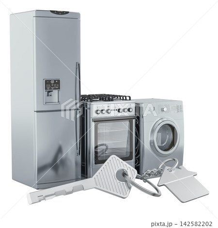 Home appliances and house key. 3D rendering 142582202