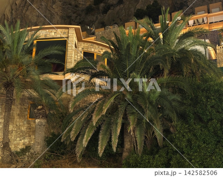 illuminated luxurious residential building at night on mountainous terrain with palm trees and stone wall side view serene and luxurious living real estate commercial natural light clean. 142582506