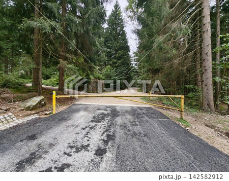 Forest road blocked by yellow barrier gate across paved lane in dense pine forest, tranquil nature scene, secluded access control, with forest, road, blocked, gate detail Forest road blocked by yellow barrier gate across paved lane in dense pine forest, tranquil nature scene, secluded access control, with forest, road, blocked, gate detail 142582912