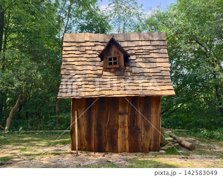 Rustic wooden cottage miniature nestled in lush forest with tall trees sunlit clearing handcrafted timber walls wooden shingles roof cozy rustic charm natural countryside setting 142583049