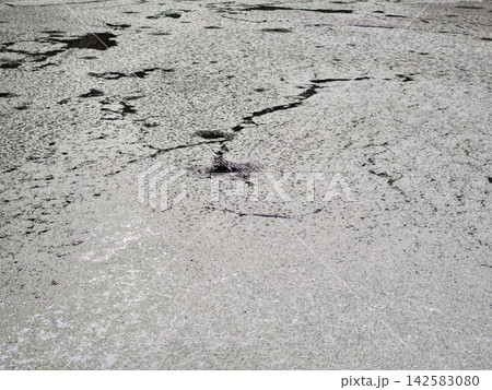 Cracked pavement texture with shallow water puddle and weathered ground showing irregular fissures, muted gray tones, and reflective surface detail across desolate outdoor scene Cracked pavement texture with shallow water puddle and weathered ground showing irregular fissures, muted gray tones, and reflective surface detail across desolate outdoor scene 142583080
