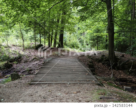 Wooden footbridge in lush green forest overlooked by dense canopy along quiet walking path through sunlit woods and rock formations, with wooden, bridge, forest, path detail Wooden footbridge in lush green forest overlooked by dense canopy along quiet walking path through sunlit woods and rock formations, with wooden, bridge, forest, path detail 142583144