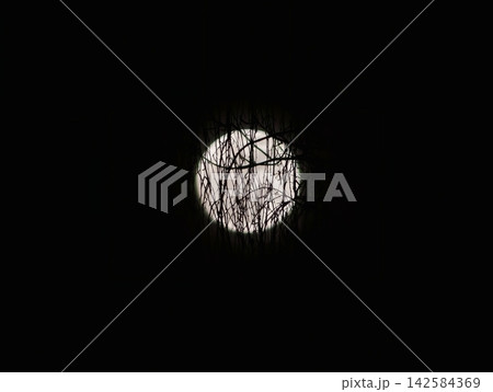 Silent night with lunar outlines. Serene monochrome scene showcasing moon through tangled limbs 142584369