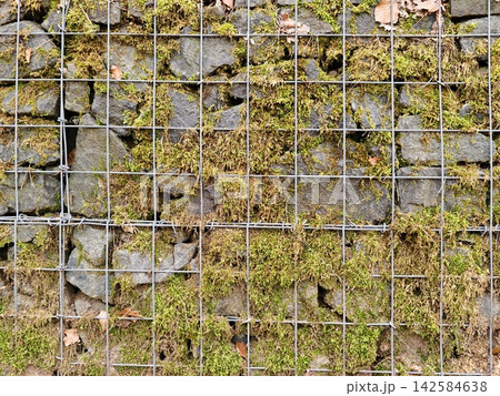 Weathered stone boundary with organic growths. Aged rock construction enveloped in moss and rust highlights Weathered stone boundary with organic growths. Aged rock construction enveloped in moss and rust highlights 142584638