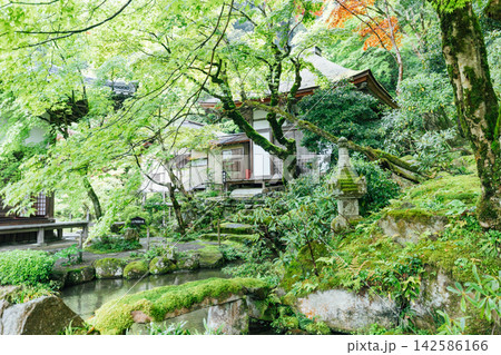 【滋賀県東近江市】金剛輪寺 明壽院庭園と護摩堂 142586166