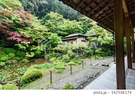 【滋賀県東近江市】金剛輪寺 明壽院　縁側から見る庭園の風景 142586174