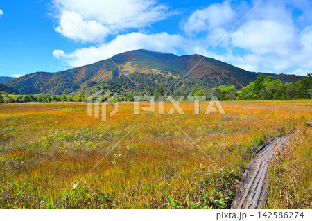 至仏山 青空と草紅葉の尾瀬ヶ原 至仏山 青空と草紅葉の尾瀬ヶ原 142586274