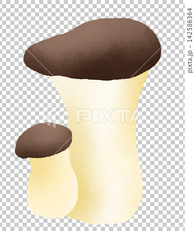 Elingi illustration Elingi illustration 142586364