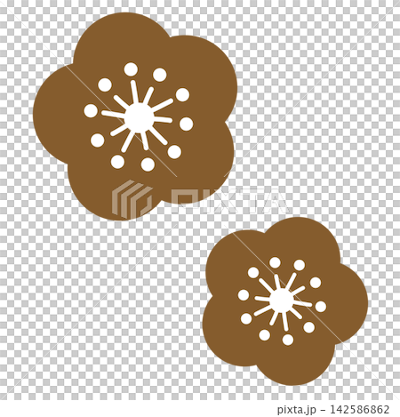 茶色のシンプルな二輪の花のイラスト 茶色のシンプルな二輪の花のイラスト 142586862