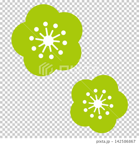 A simple illustration of two light green flowers. 142586867