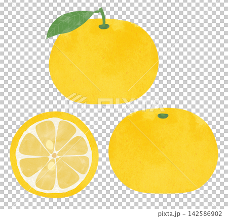 Illustration of Yuzu Illustration of Yuzu 142586902