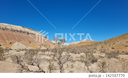 Beautiful Landscape Of The Desert Beautiful Landscape Of The Desert 142587770