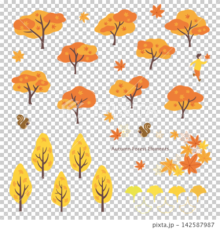 Autumn leaves and ginkgo leaves that adorn the forest in autumn Autumn leaves and ginkgo leaves that adorn the forest in autumn 142587987