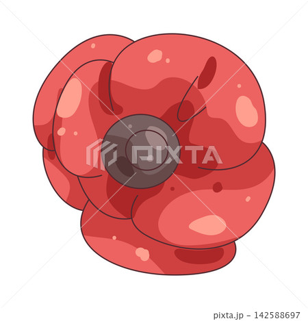 Illustration of red poppy 142588697