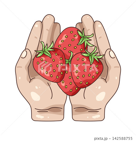 Illustration of strawberry Illustration of strawberry 142588755