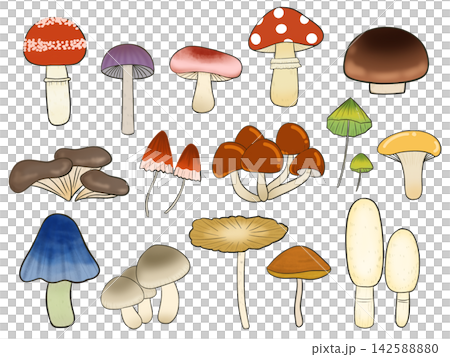 色々なキノコイラストのセット 142588880