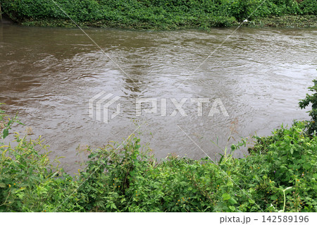 大雨で増水した川 大雨で増水した川 142589196