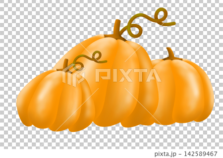 可愛いカボチャのイラスト 可愛いカボチャのイラスト 142589467