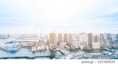 Aerial view of tokyo city skyline with skyscrapers and blurred foreground in Odaiba bay, Japan, miniature tilt shift effect Aerial view of tokyo city skyline with skyscrapers and blurred foreground in Odaiba bay, Japan, miniature tilt shift effect 142589834