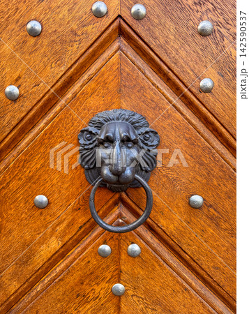 Wooden carved door with decorative metal rivets and lion's head door knocker Wooden carved door with decorative metal rivets and lion's head door knocker 142590537