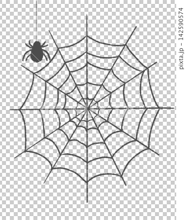 Spider web and spider Spider web and spider 142590574