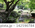 岡山県津山市衆楽園を流れる人口の小川 142590784