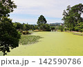 岡山県津山市衆楽園の池 142590786