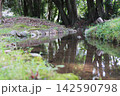 岡山県津山市衆楽園を流れる人口の小川 142590798