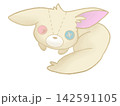 フェネックさん 142591105