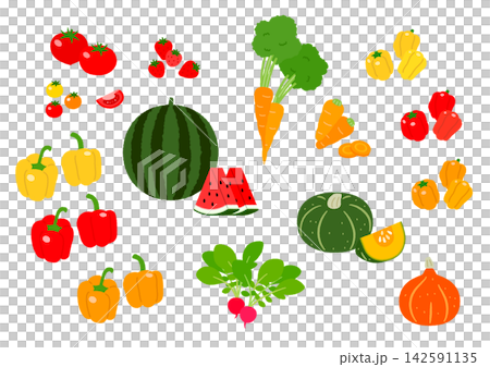 赤・橙・黄色の野菜 赤・橙・黄色の野菜 142591135