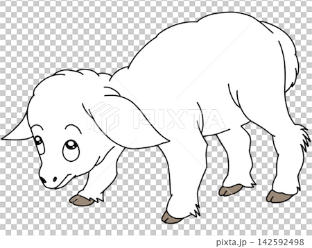 手繪動物插畫☆綿羊 手繪動物插畫☆綿羊 142592498