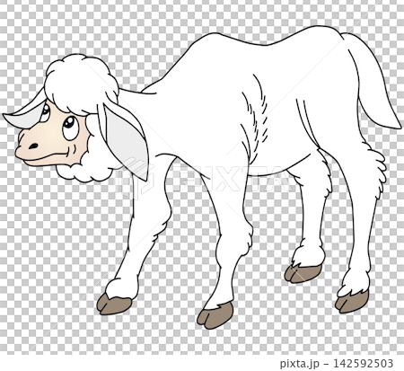 手繪動物插畫☆綿羊 手繪動物插畫☆綿羊 142592503