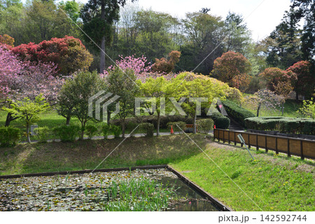 静峰ふるさと公園・八重桜まつり #6 静峰ふるさと公園・八重桜まつり #6 142592744