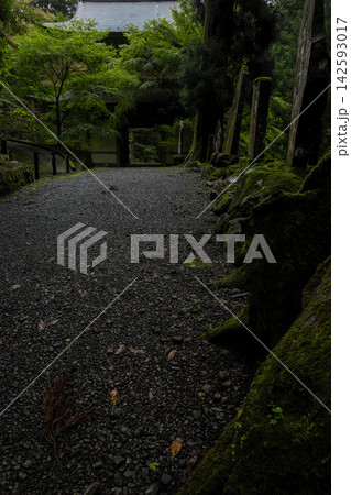 苔の生えた道 大雄山最乗寺 道了尊三門 苔の生えた道 大雄山最乗寺 道了尊三門 142593017