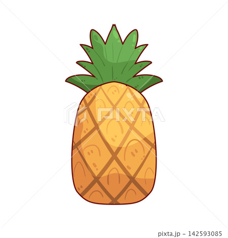 Illustration of Pineapple Illustration of Pineapple 142593085