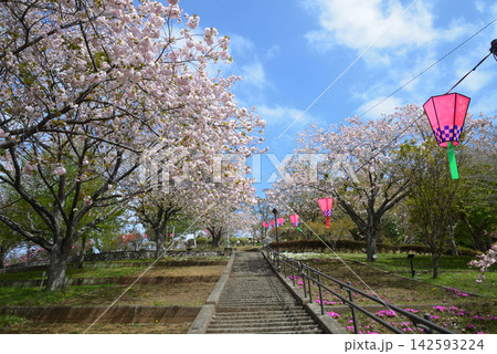 静峰ふるさと公園・八重桜まつり #18 静峰ふるさと公園・八重桜まつり #18 142593224