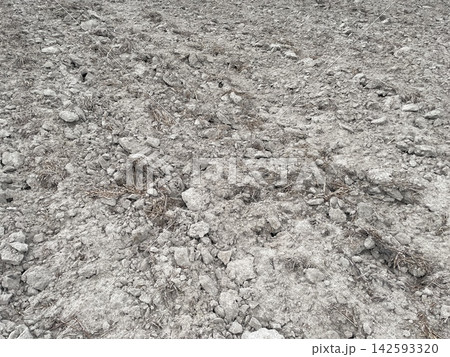 Plowed field dark soil ground texture Plowed field dark soil ground texture 142593320
