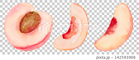 Watercolor Peach Half and Slices Small Collection Set Isolated Background Traditionally Hand Painted Watercolor Peach Half and Slices Small Collection Set Isolated Background Traditionally Hand Painted 142593908