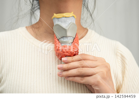 Hyperthyroidism, Overactive Thyroid, Thyroid Lymphoma, Asian woman with thyroid gland human anatomy model. Hyperthyroidism, Overactive Thyroid, Thyroid Lymphoma, Asian woman with thyroid gland human anatomy model. 142594459