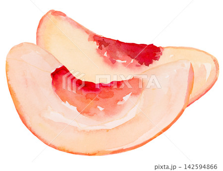 Watercolor Peach Slices Isolated Background Traditionally Hand Painted	 142594866