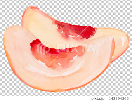 Watercolor Peach Slices Isolated Background Traditionally Hand Painted Watercolor Peach Slices Isolated Background Traditionally Hand Painted 142594866