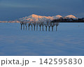 夕日に染まる冬の越後三山を背景に小千谷市池ケ原の雪原に立つはさ木 Ver1 夕日に染まる冬の越後三山を背景に小千谷市池ケ原の雪原に立つはさ木 Ver1 142595830